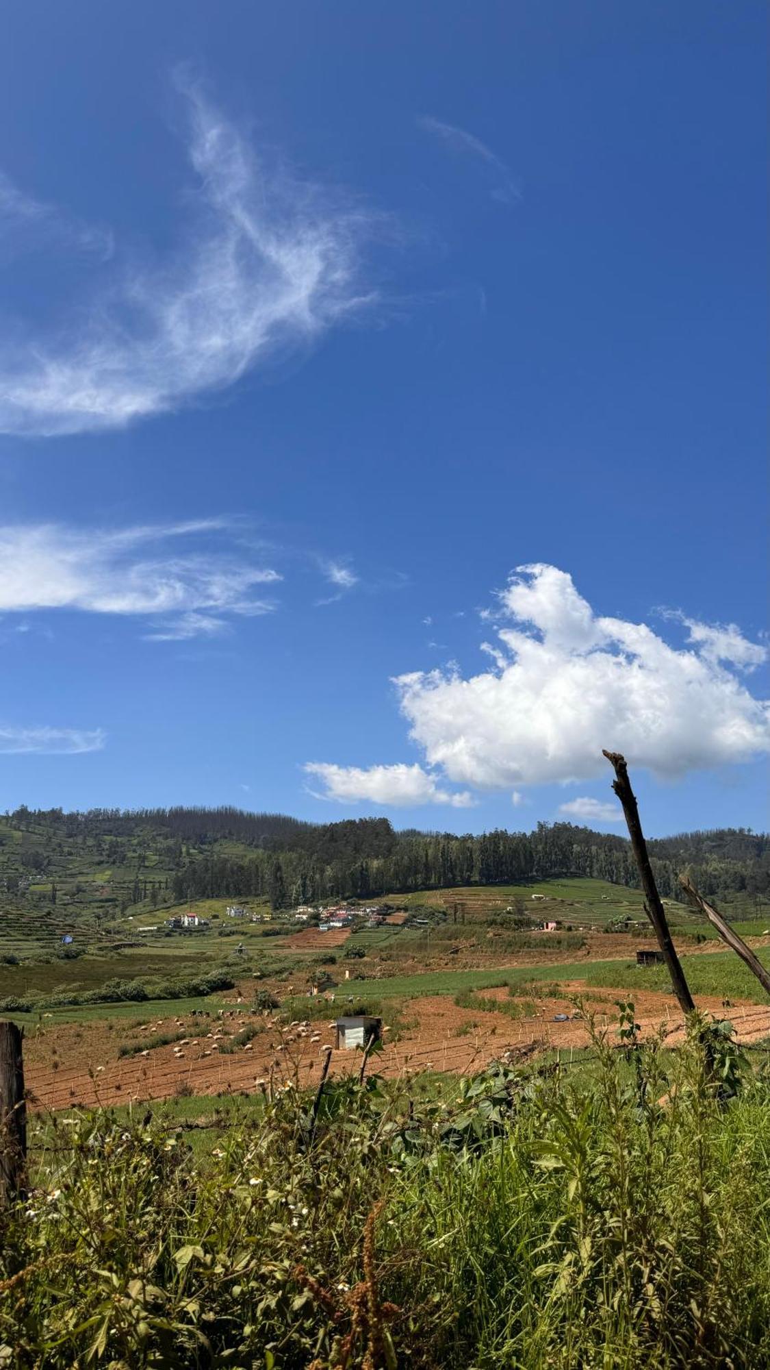 Bed and Breakfast The Wooden Springs Ooty Esterno foto